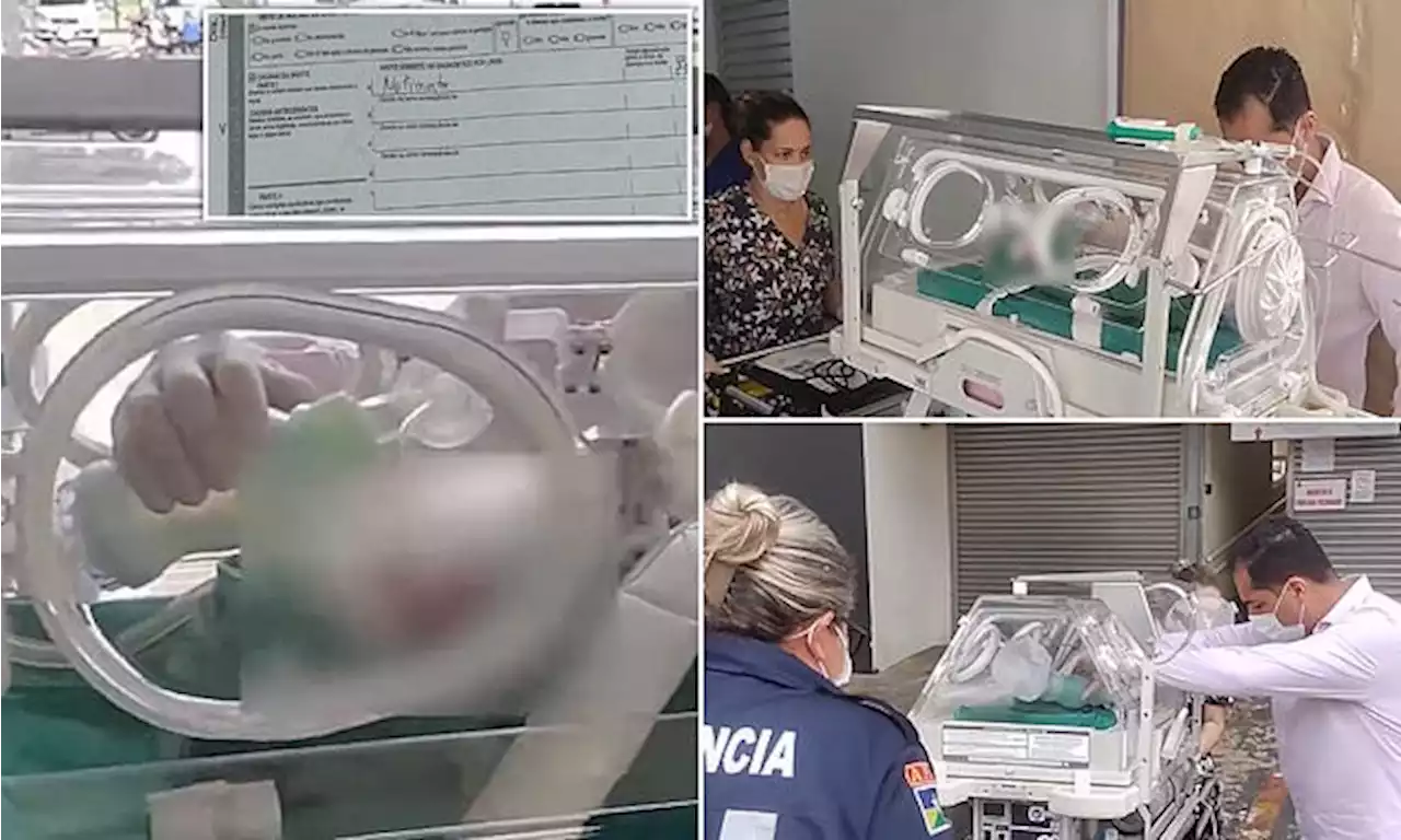 Premature baby declared 'stillborn' by Brazilian doctors found ALIVE