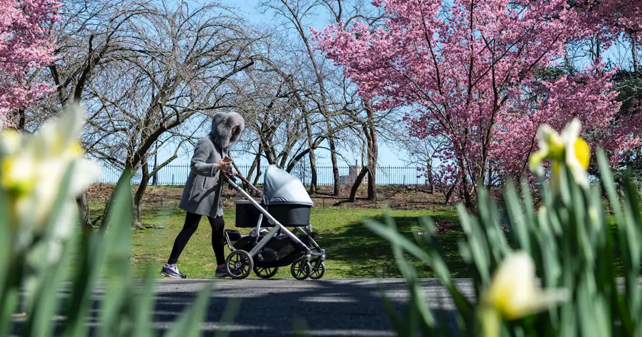 Study finds slight developmental lag in babies born during pandemic