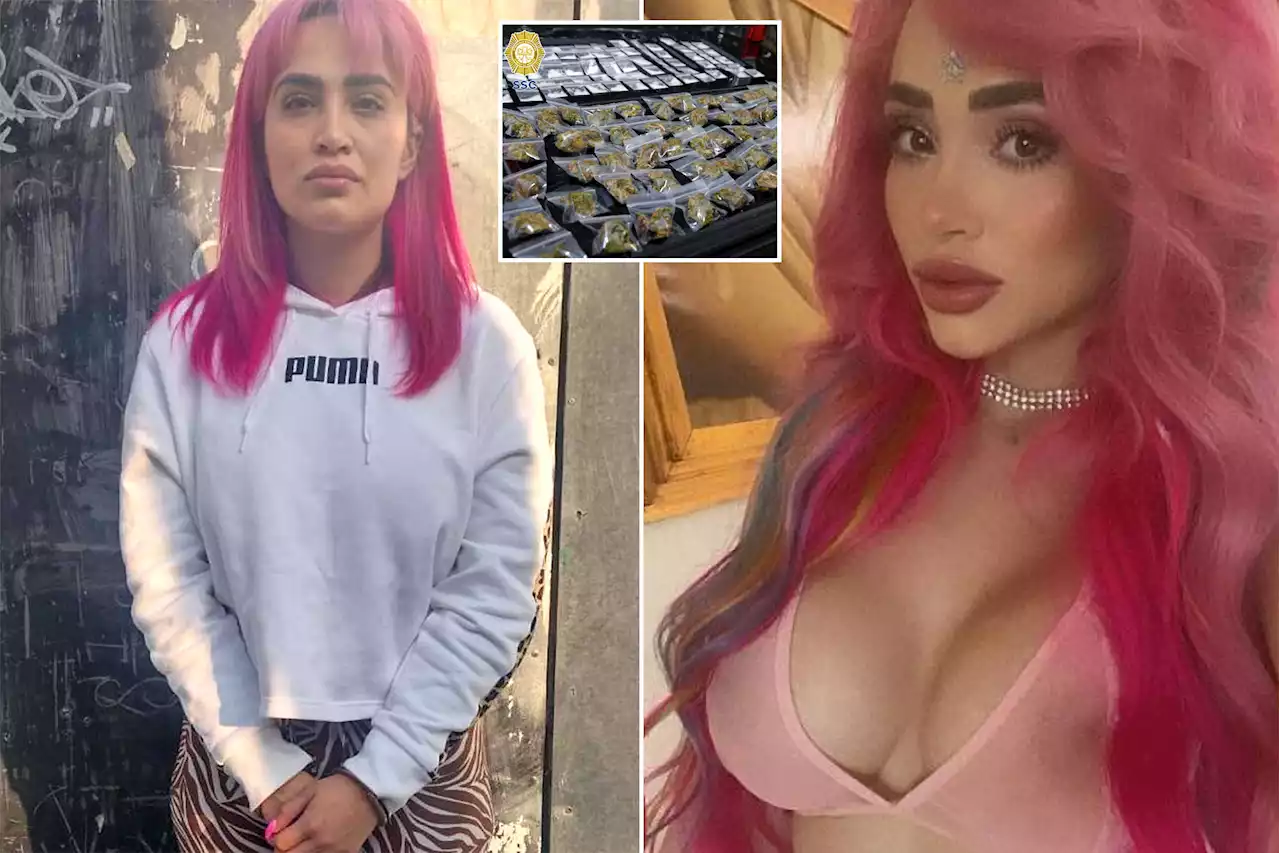 Influencer and singer arrested on gang-related drug and fraud charges