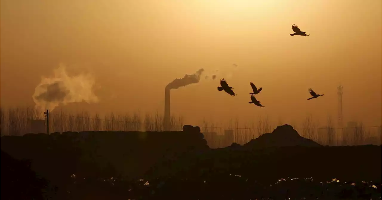 China's top steelmaking city Tangshan issues orange smog alert