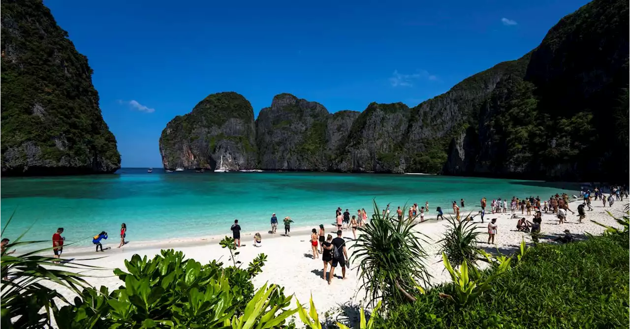 Thailand allows visitors back to beach made famous by movie