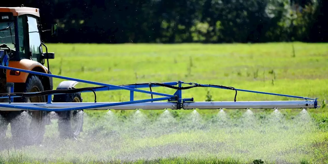 Wegen Übernahme von Monsanto: Hunderte Anleger verklagen Bayer