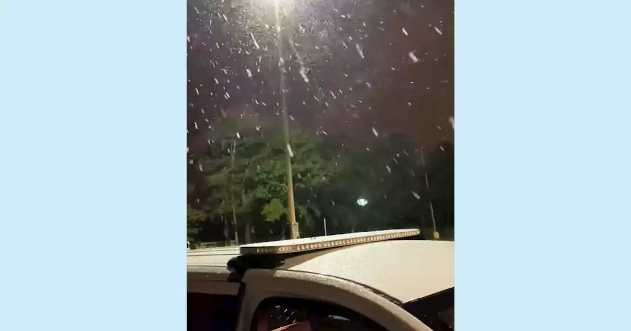 Snow falls in Florida — yes, Florida — in rare cold snap