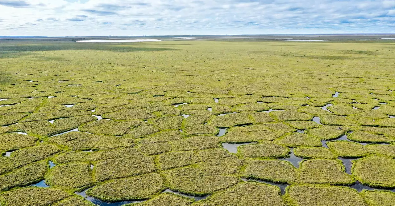 Wildfires Are Digging Carbon-Spewing Holes in the Arctic