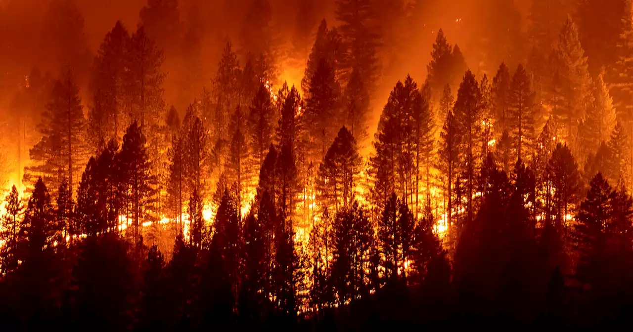 PG&E electrical equipment sparked massive Dixie Fire in California, investigation finds