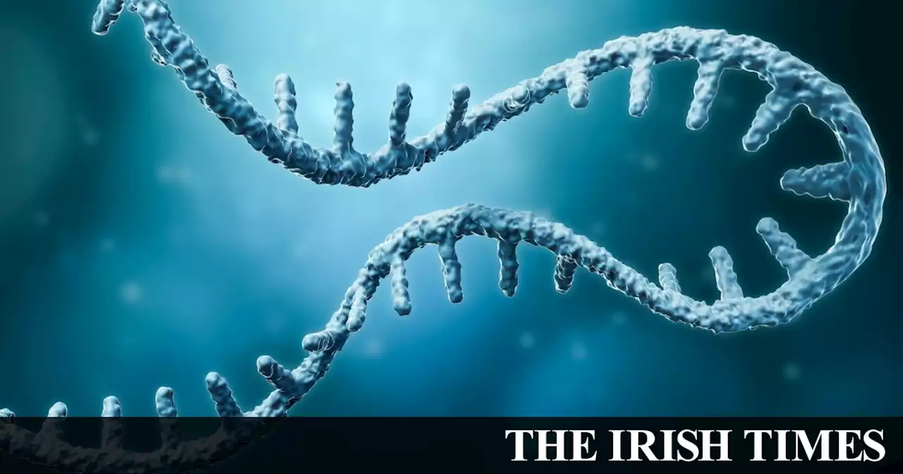 Pfizer and BioNTech team up to develop mRNA-based shingles vaccine