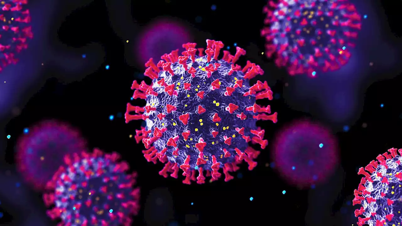 Coronavirus: New COVID-19 variant I.H.U. is not concerning to WHO