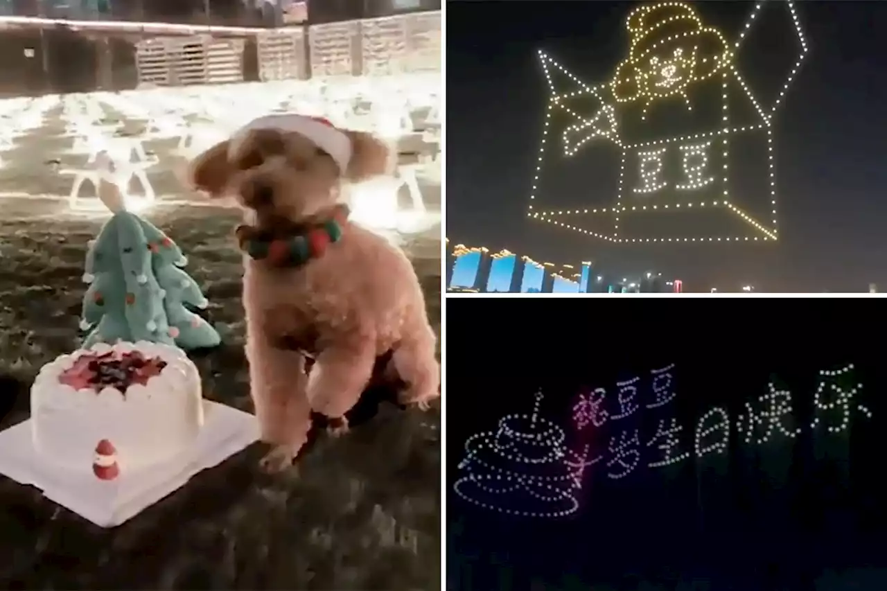 Woman spends small fortune renting 520 drones to celebrate dog’s birthday