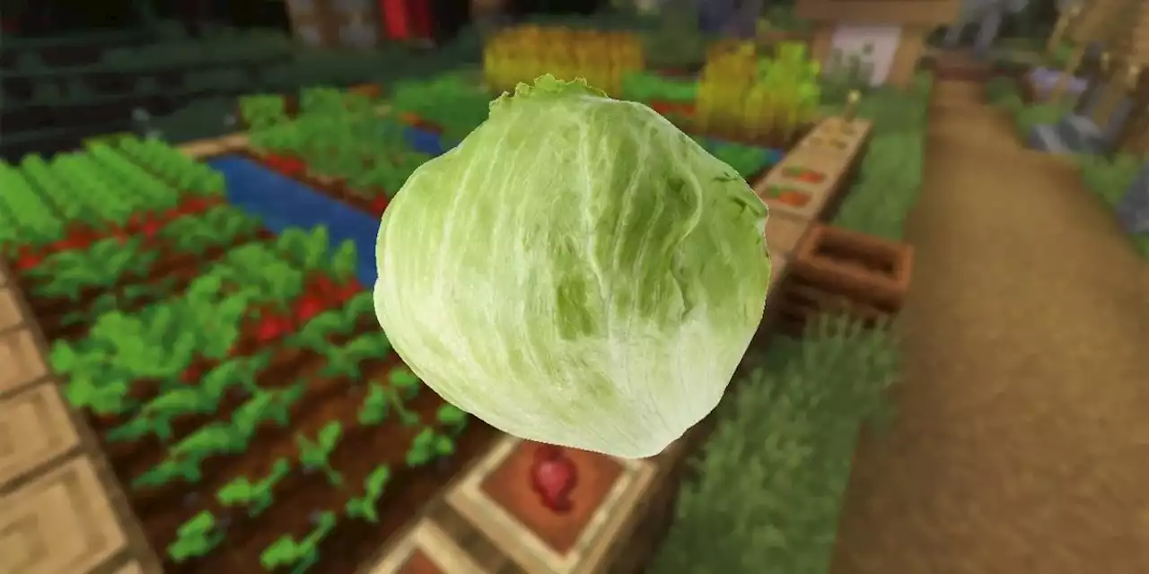 Minecraft Player Uses Creeper Heads In Farm as Heads of Lettuce