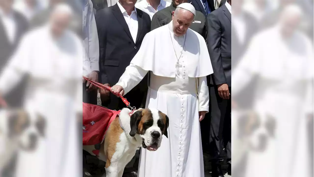 Pope: Couples Who Choose to Have Pets Over Kids Are ‘Selfish’