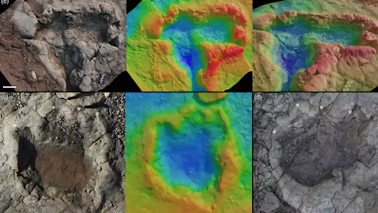 Five things to know about newly found dinosaur stomping grounds in the UK