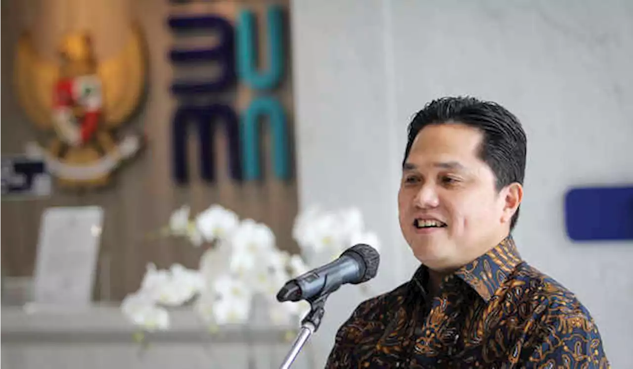 Erick Thohir Tugaskan Hartanto Atasi Krisis Batu Bara PLN