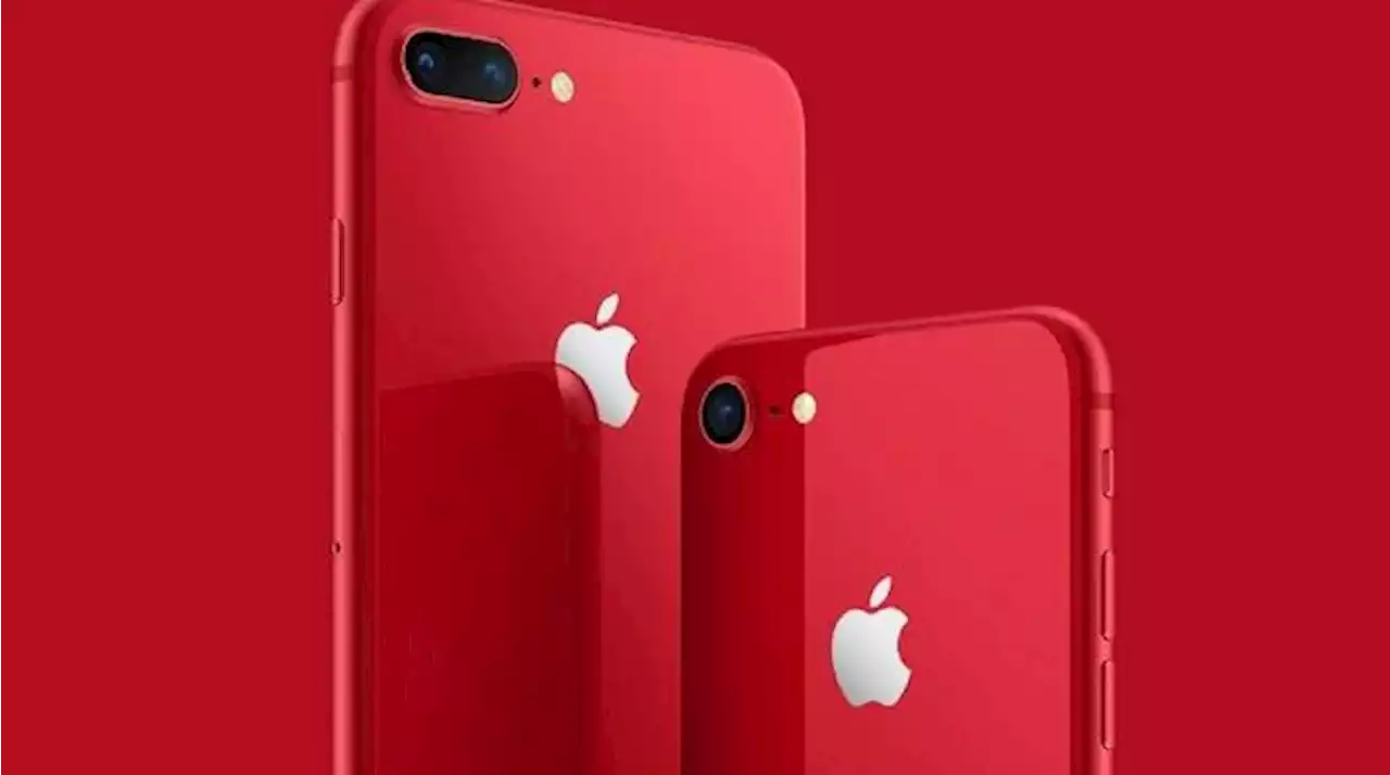 iPhone 'Murah' Terbaru Siap Meluncur Maret 2022?