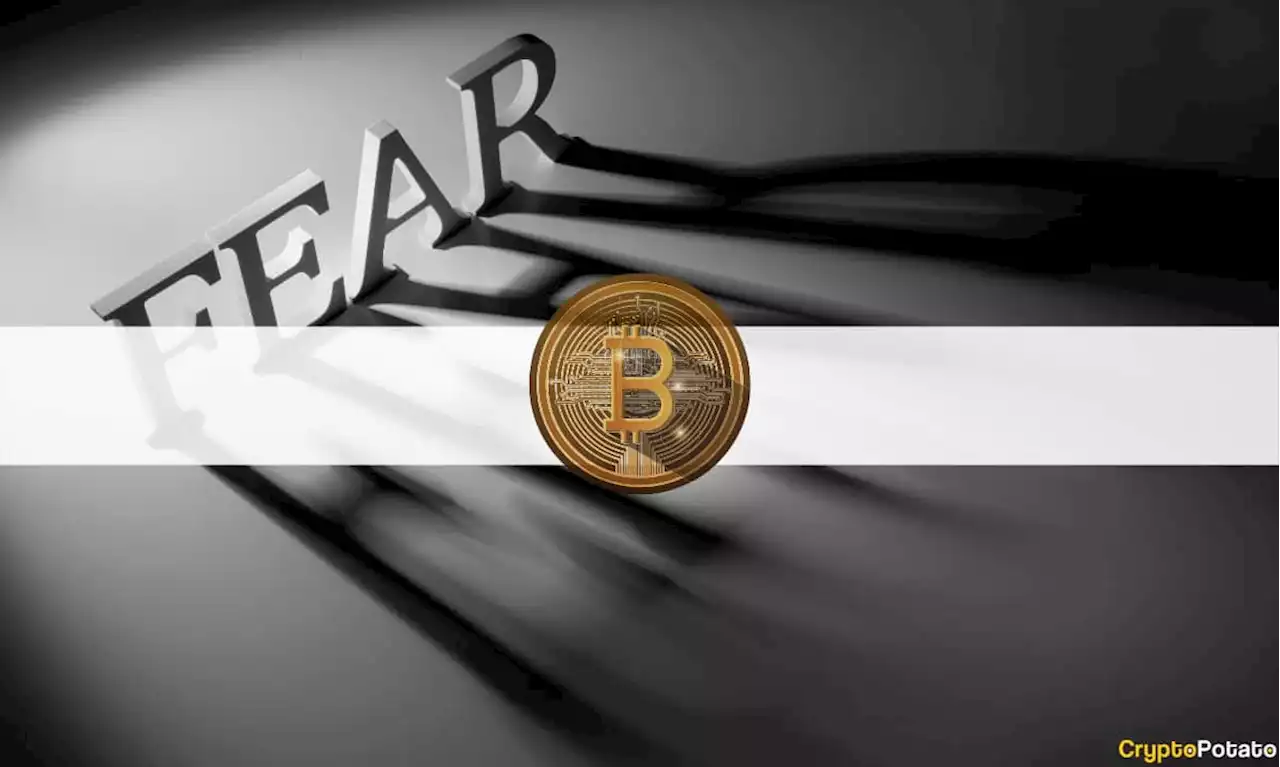 Extreme Fear: Bitcoin Fear and Greed Index at Lowest Point Since July 2021