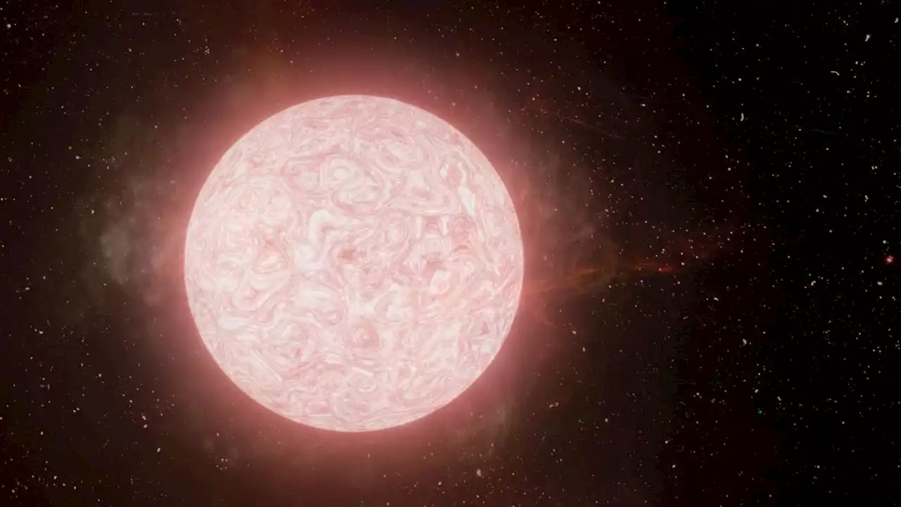 Video: We Watched A Red Supergiant Star’s ‘Dying Breath’ Before It Exploded As A Supernova Say Scientists