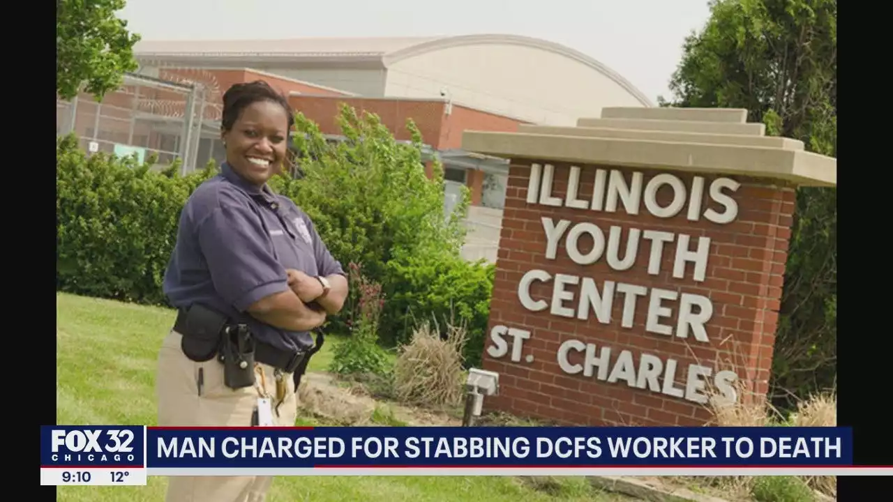 'Hero' DCFS worker stabbed to death while visiting Illinois home