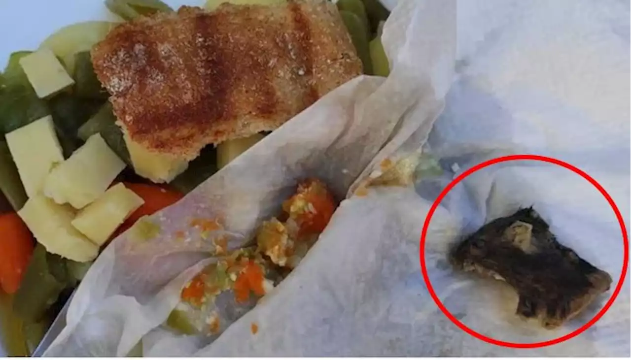 ہسپانوی شخص مارکیٹ سے لائے گئے کھانے میں سبزی سمجھ کر چوہا کھا بیٹھا