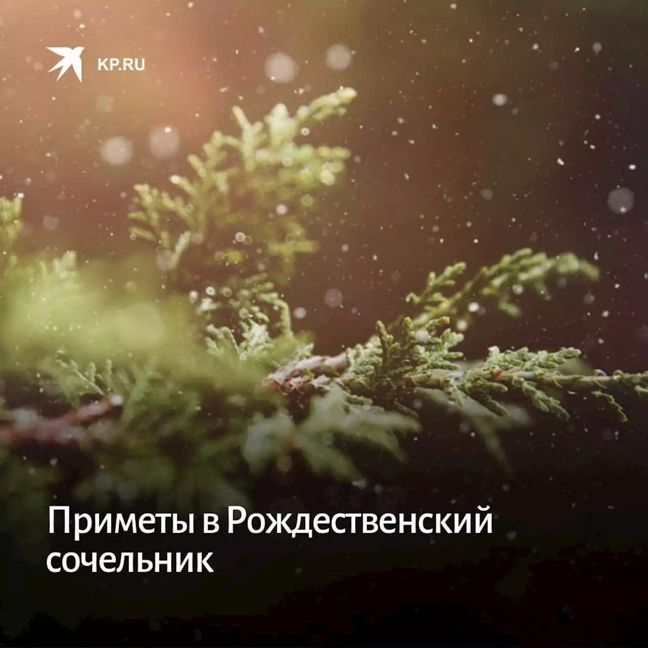 Приметы в Рождественский сочельник: что можно и нельзя делать 6 января 2022 года