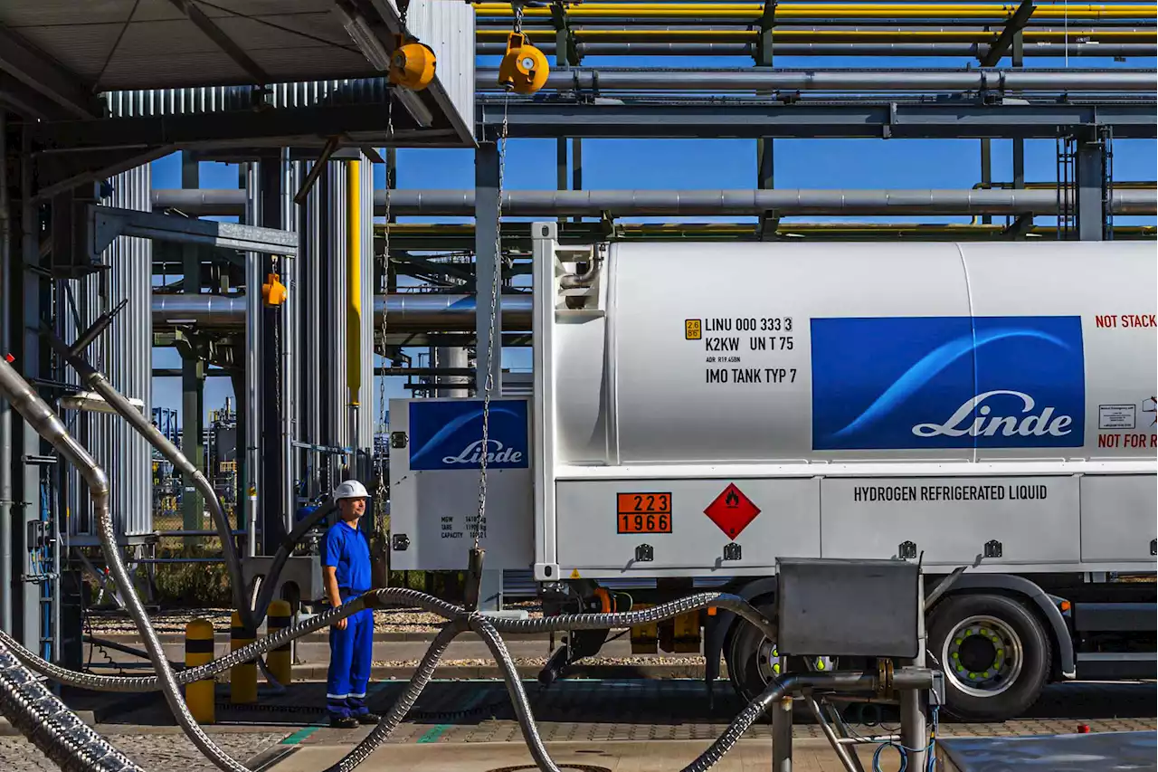 Hydrogen Power Is Gaining Momentum, But Critics Say It's Neither Efficient Nor Green Enough