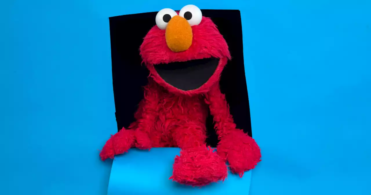 Elmo's feud with a pet rock has consumed the internet