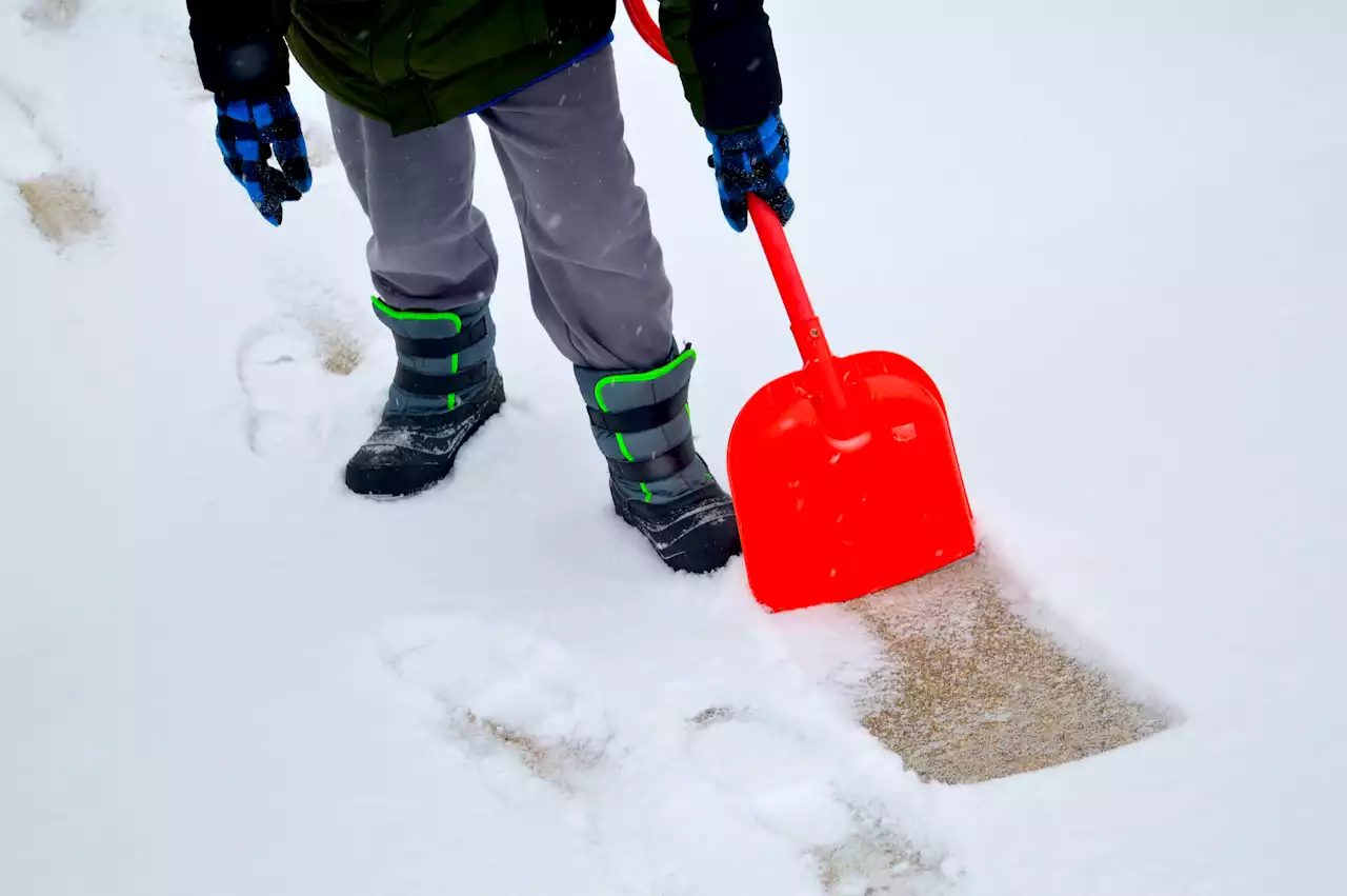 Keep the Shovels Handy: Snow Is Heading Our Way