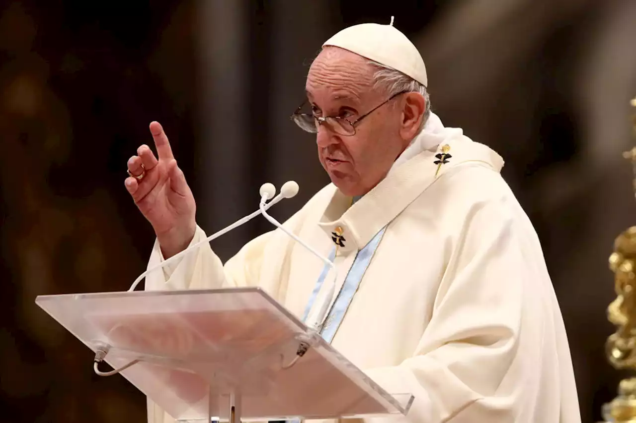 Pope Francis slams ‘selfish’ couples who have pets instead of kids