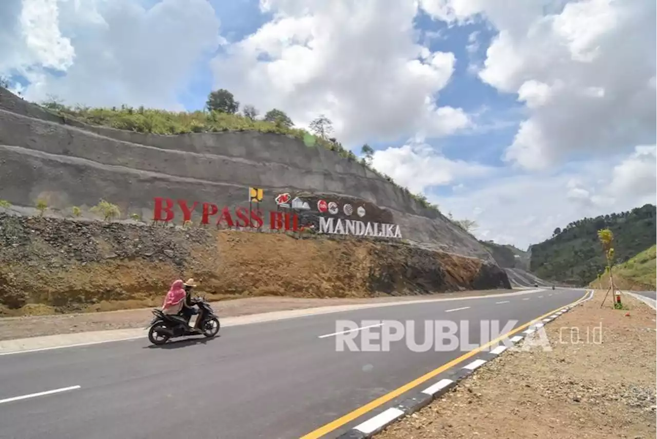 Ratusan Pohon Kijang Kencana di Bypass BIL-Mandalika Dicuri |Republika Online