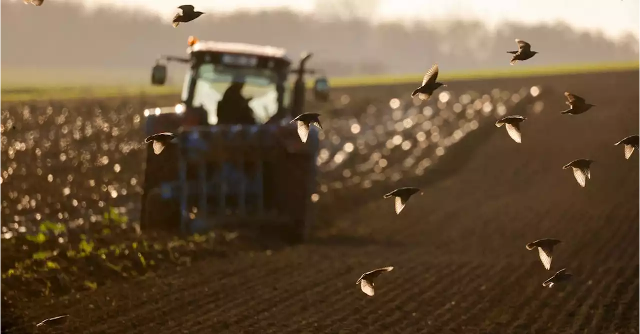 World food prices hit 10-year high in 2021