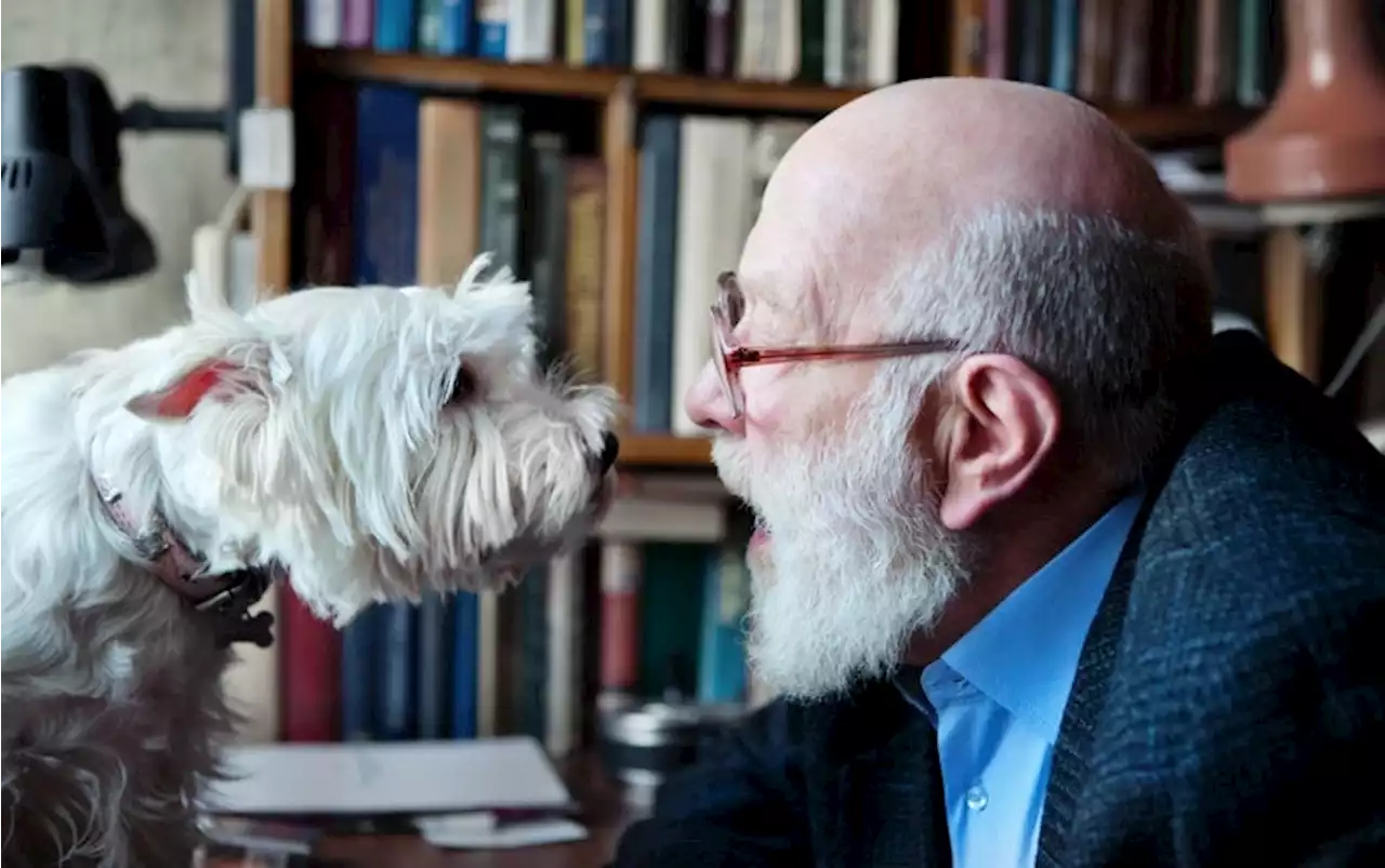 Dogs Can Distinguish Speech from Gibberish&mdash;and Tell Spanish from Hungarian