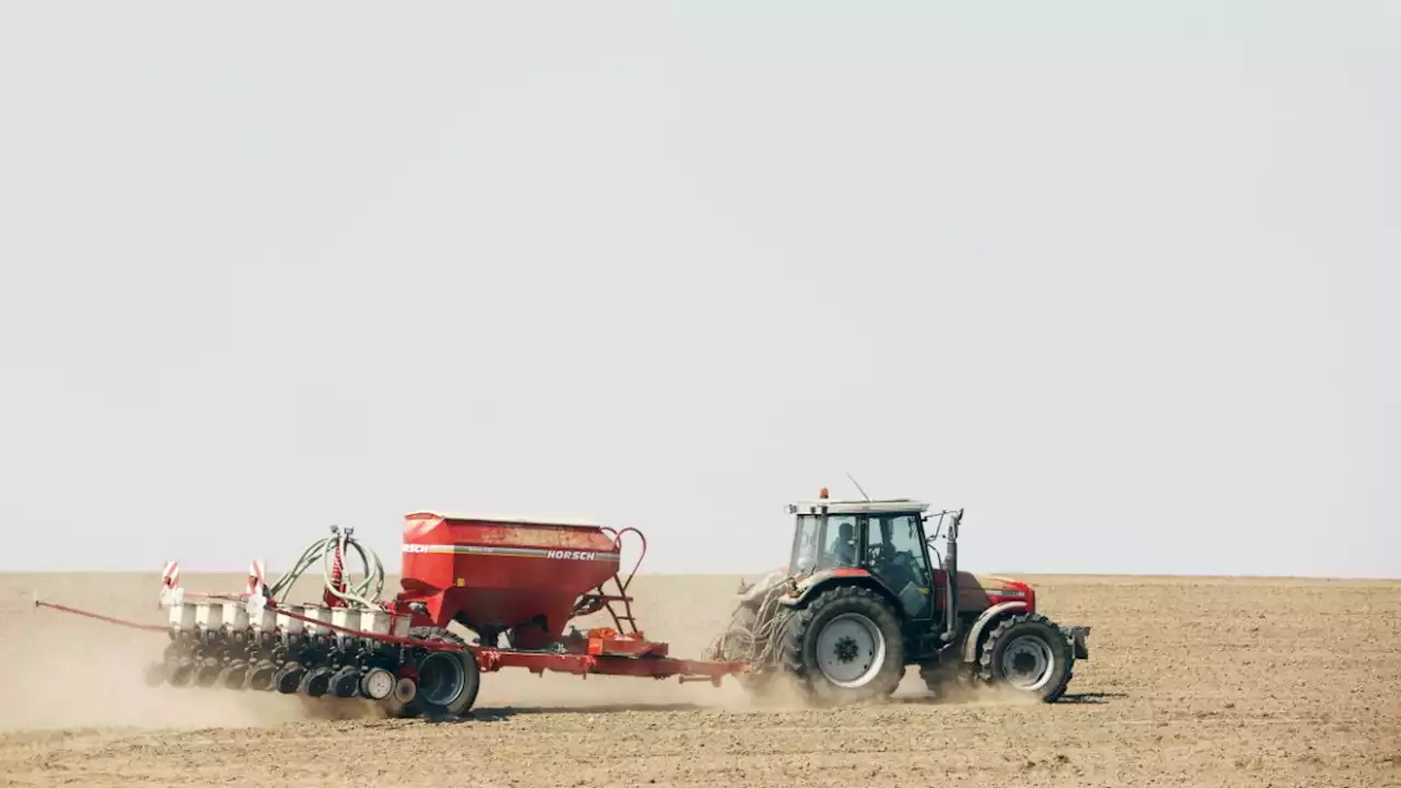 Arbeitnehmer: Jeder Fünfte verdient wenig – trotz Vollzeit