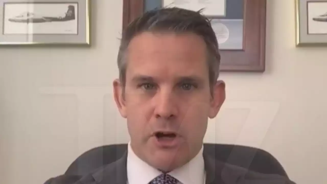 Rep. Adam Kinzinger Says If Trump Rigs 2024 Election and Wins Democracy Won't Survive