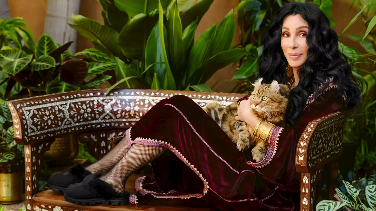 Cher Doesn’t Know What You Mean by “It’s Giving Cher”