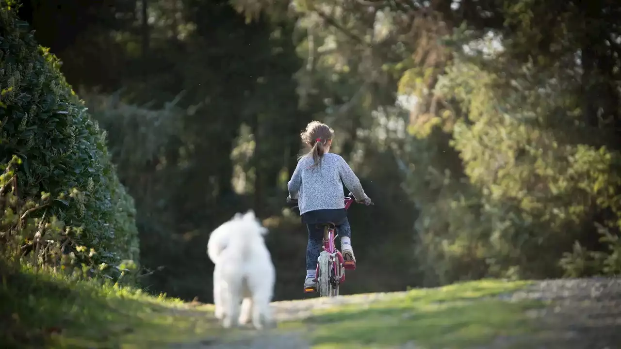 Aprender a montar en bici, el módulo que el Gobierno planea incluir en Educación Física