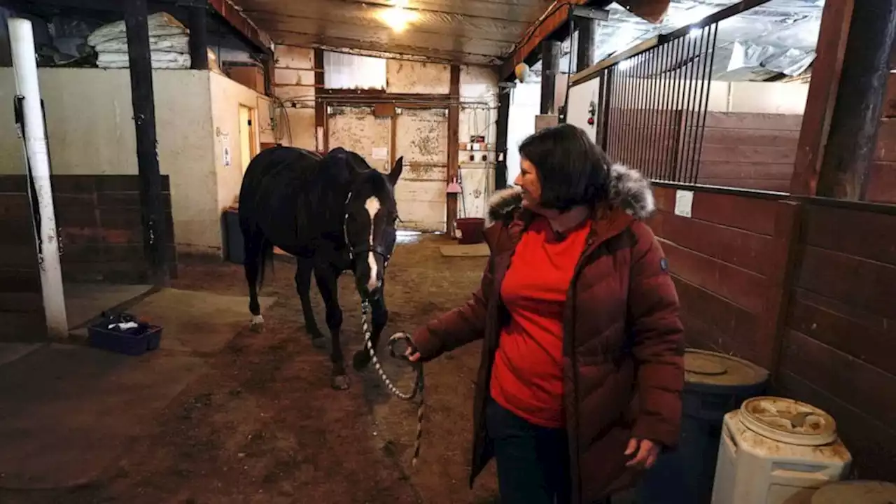 Some still don't know fate of pets after Colorado wildfire