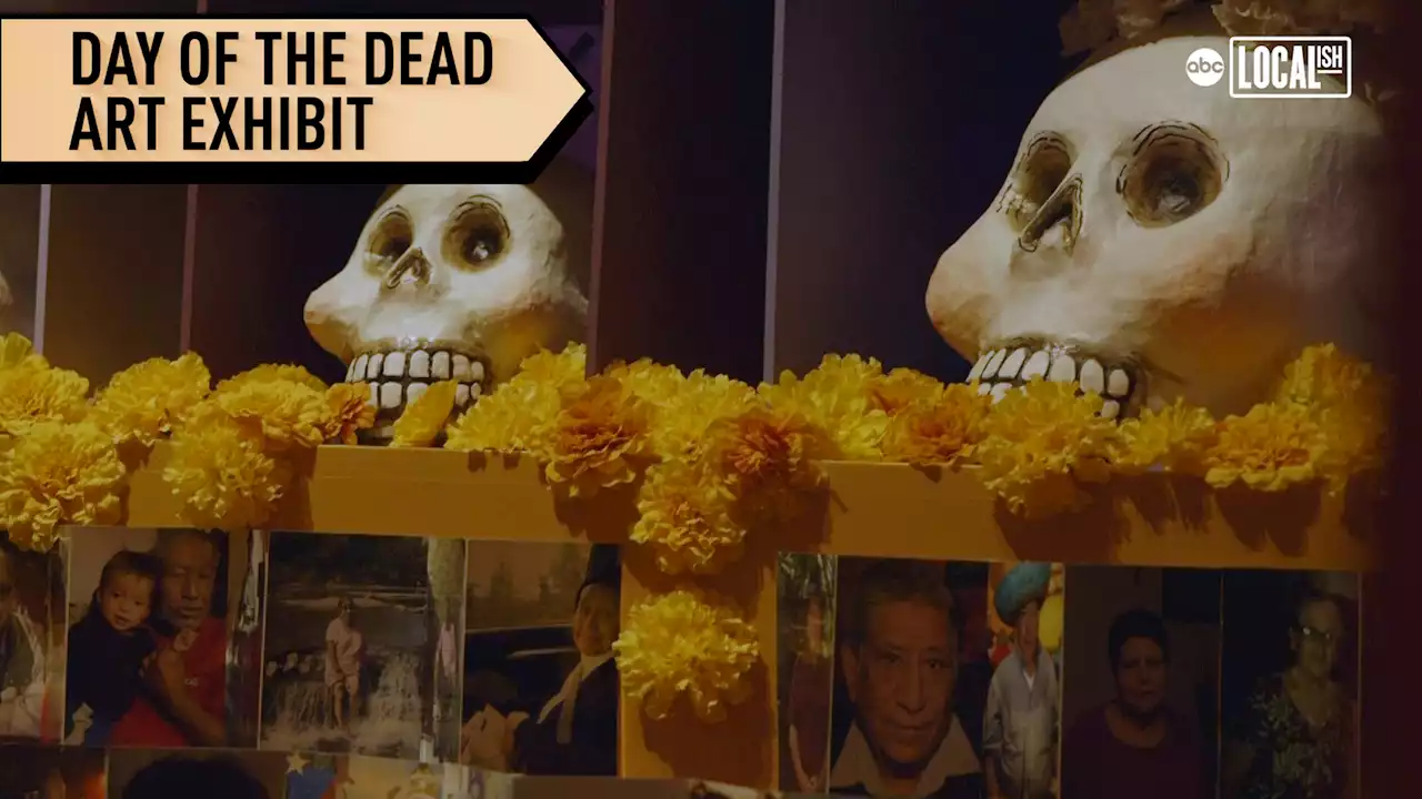 Chicago Day of the Dead exhibit memorializes COVID victims