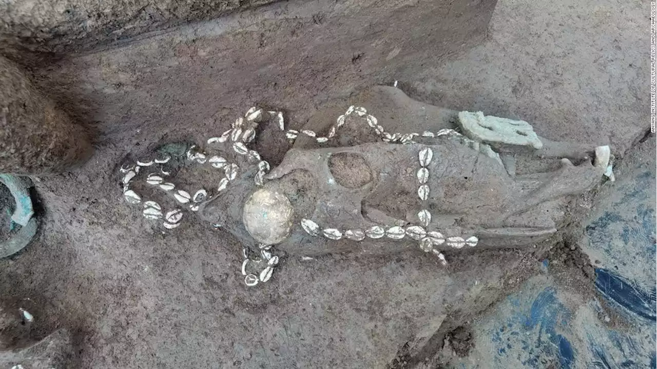 Archaeologists uncover ancient tombs of wealthy Chinese clan