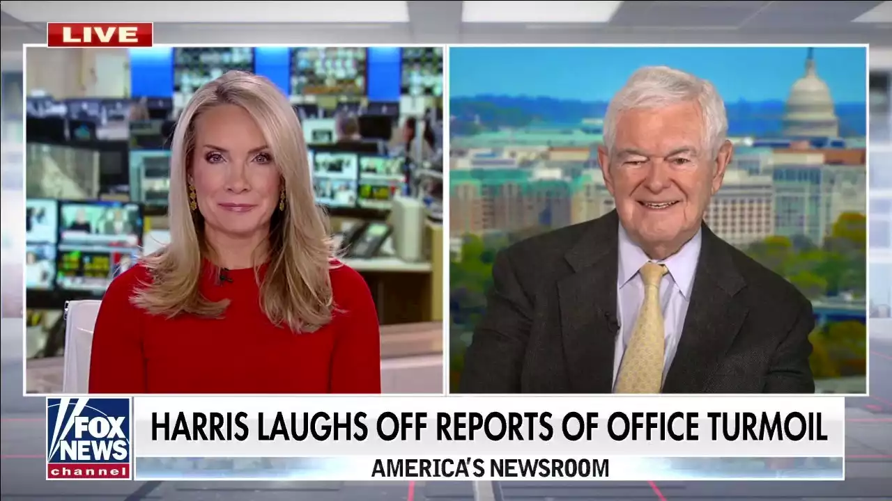 Newt Gingrich blasts Kamala Harris on 'America's Newsroom': 'Totally unfit' to be vice president