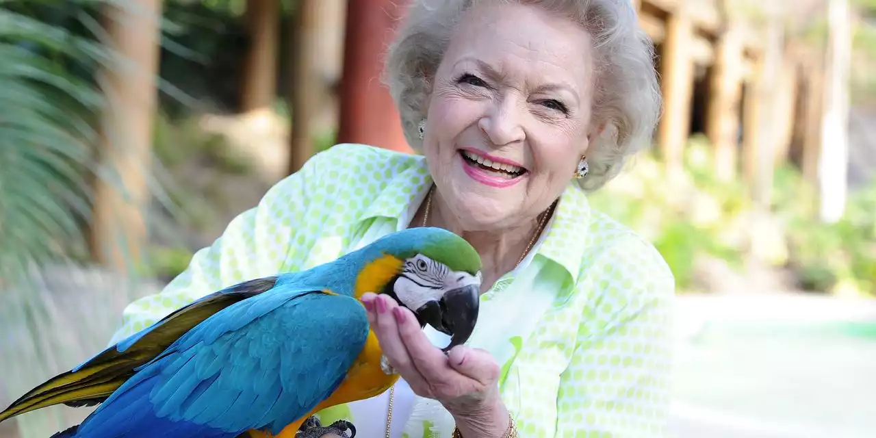 Betty White’s death and upcoming 100th birthday inspire donations to animal groups: ‘Betty always put the animals first’