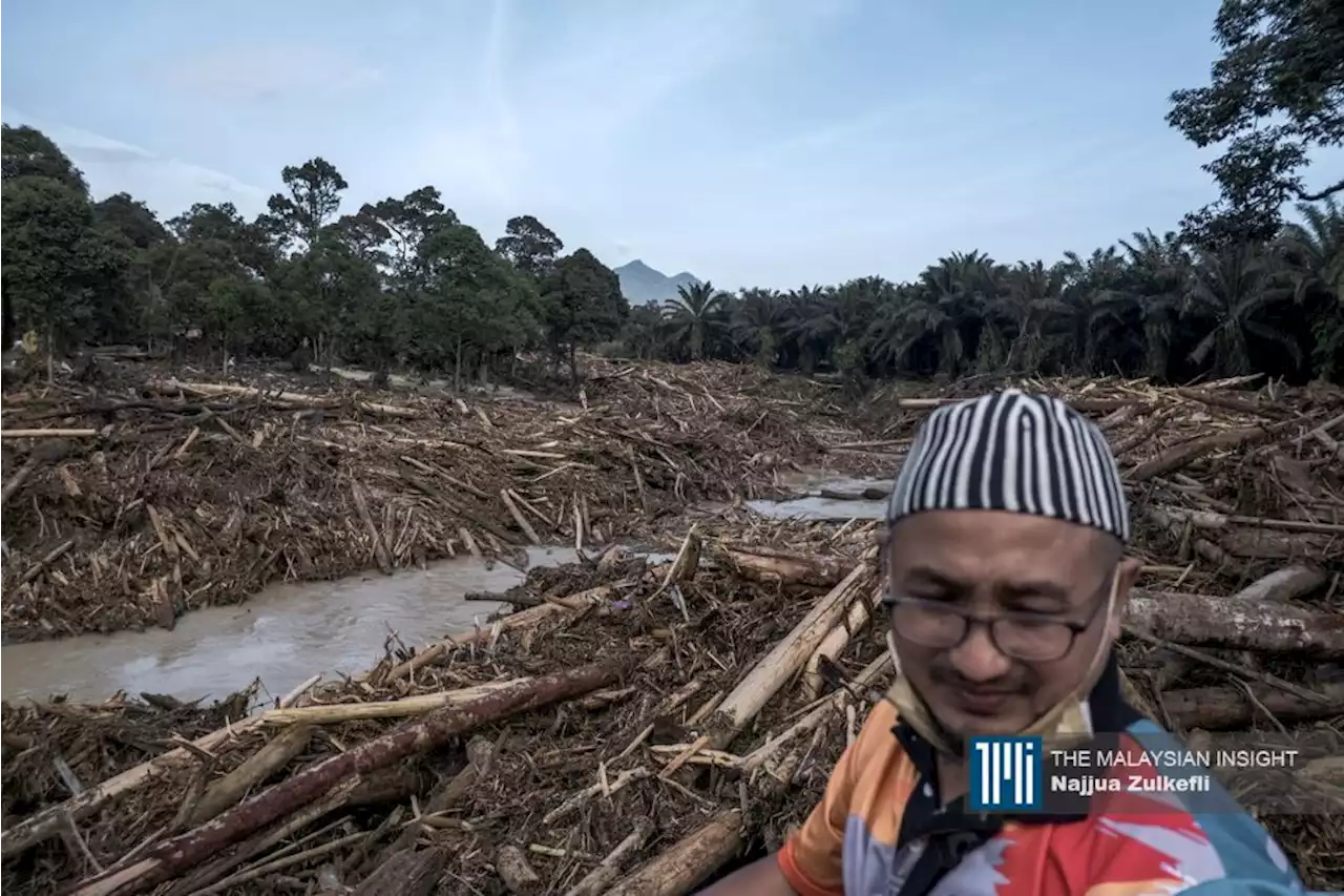 State logging quota set by National Land Council, Takiyuddin says | The Malaysian Insight