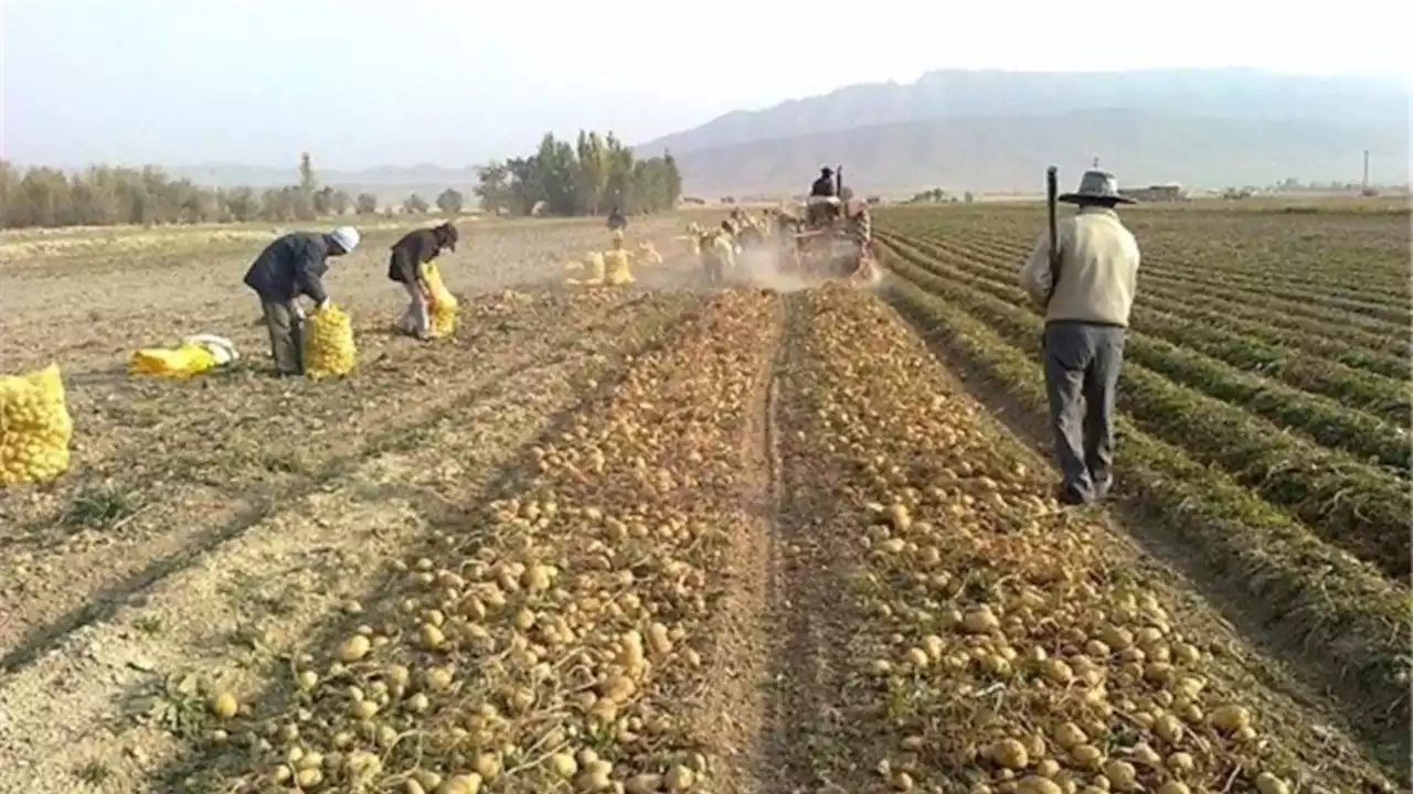 بحران سموم خطرناک؛ اروپا «۳۰ سال» است محصولات کشاورزی ایران را نمی‌خرد