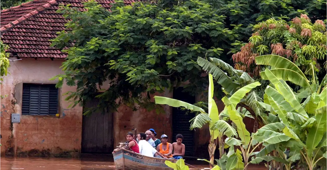 Heavy rains hurt some Brazil coffee fields - but that's better than ice