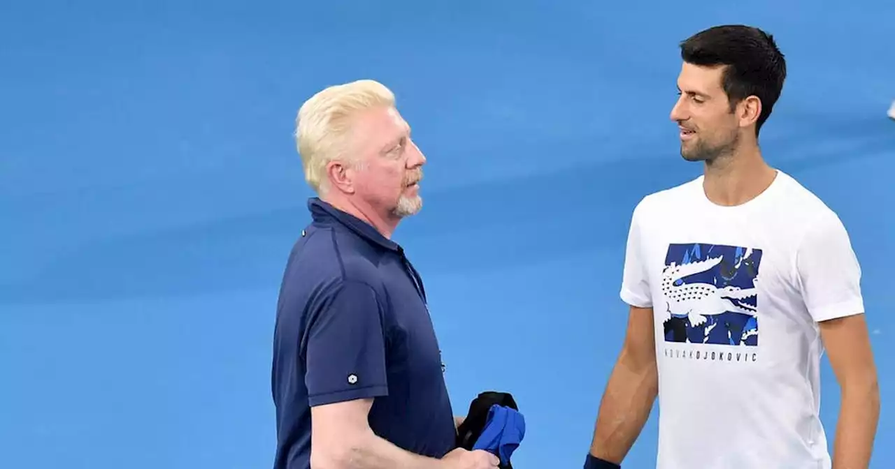 Australian Open: Novak Djokovic sorgt für Chaos - jetzt reagiert Boris Becker