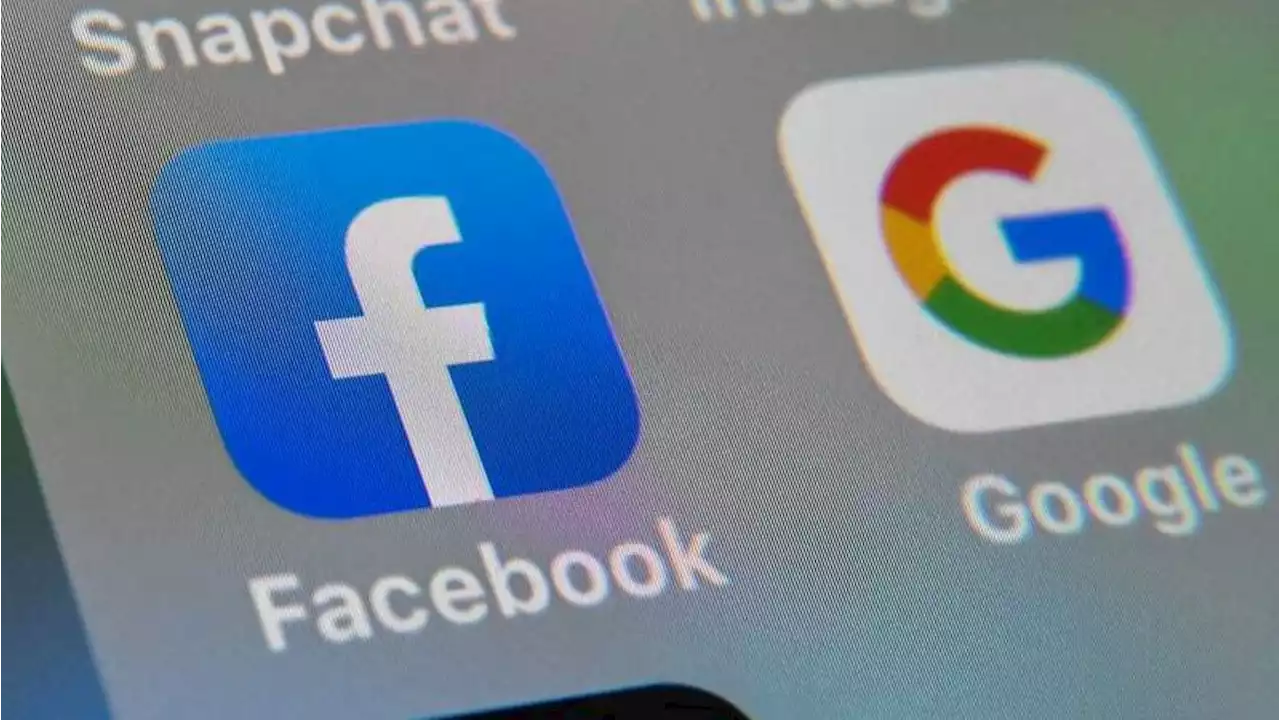 210 Millionen Euro: Facebook und Google in Frankreich zu hohen Strafen verurteilt