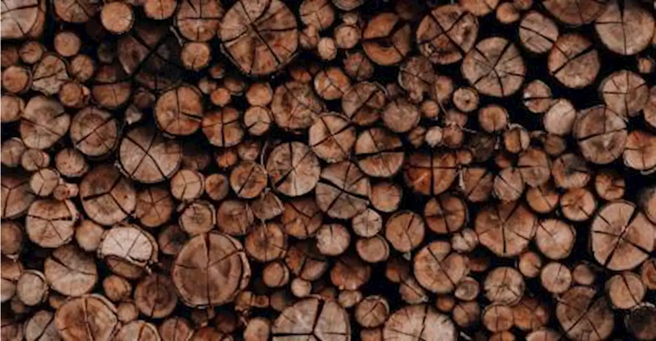 Every state has quota for logging: Takiyuddin
