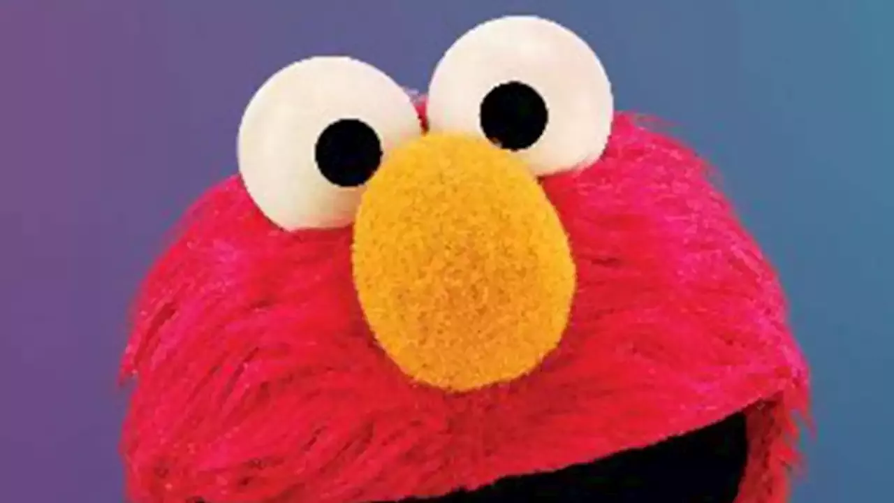 Elmo Reveals Where He Stands With Zoe's Pet Rock Rocco After Cookie 