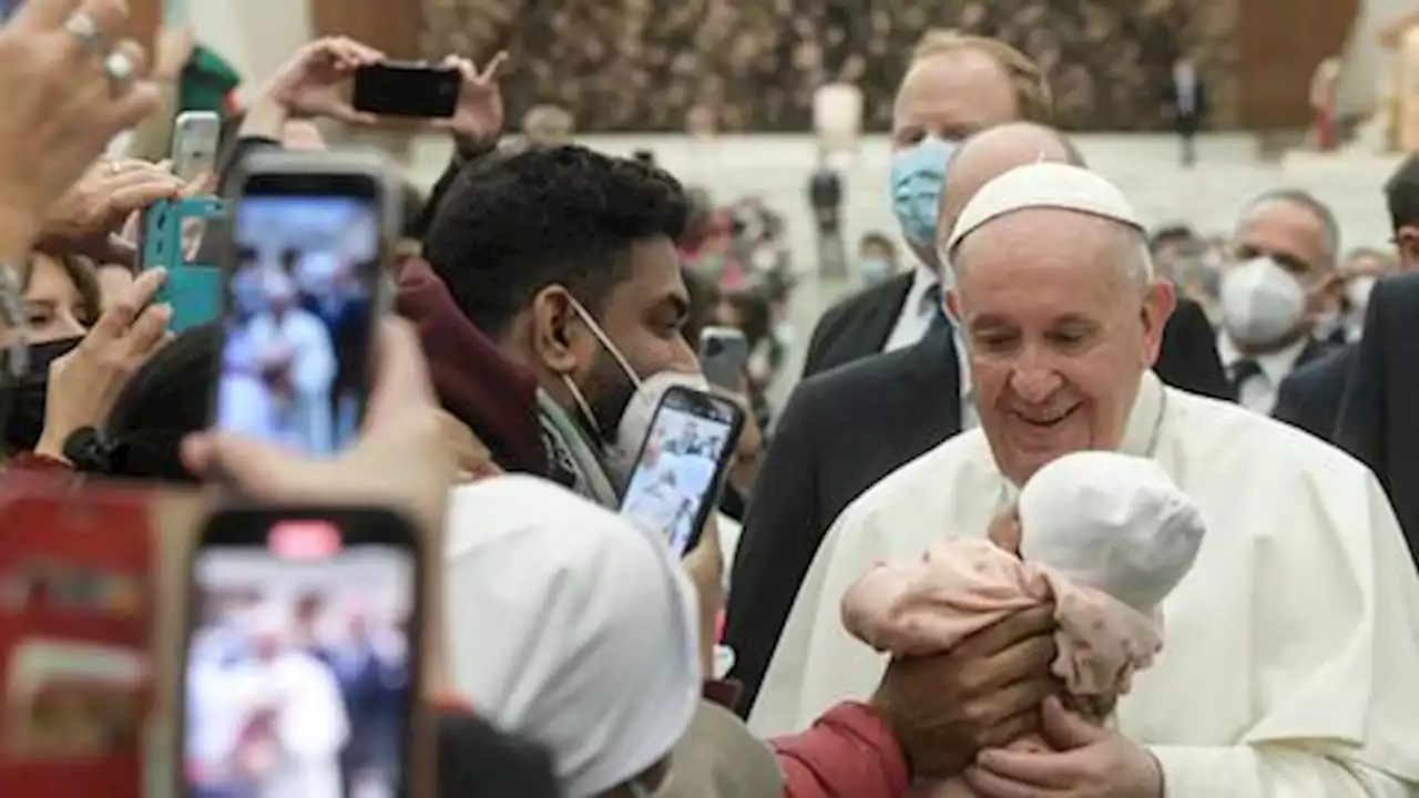 Having pets not kids takes away our humanity: Pope Francis