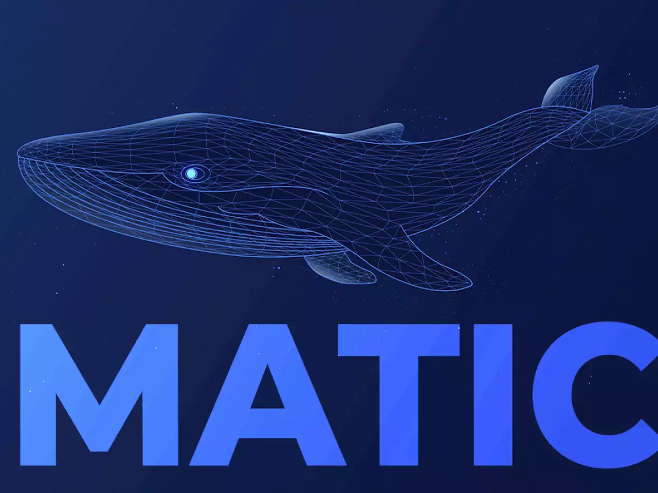 MATIC Whale Holding 20 Million Tokens Buys Extra $10 Million Worth