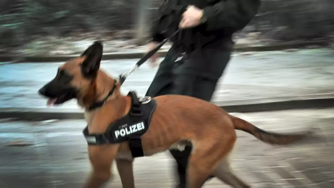 Tierschutzgesetz: Polizeihunde in NRW dürfen weiter arbeiten