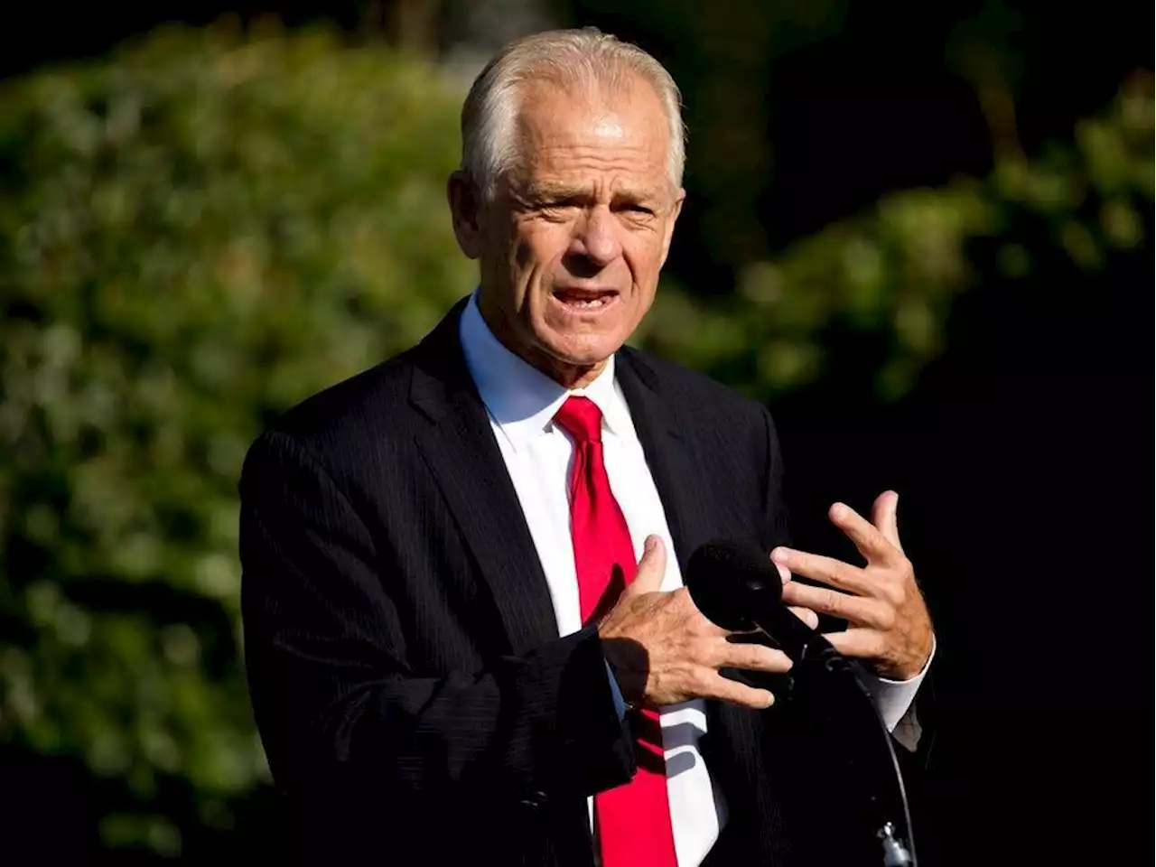 Former White House advisor Peter Navarro says Mike Pence hung up on him as he was pitching a plan to steal the 2020 election