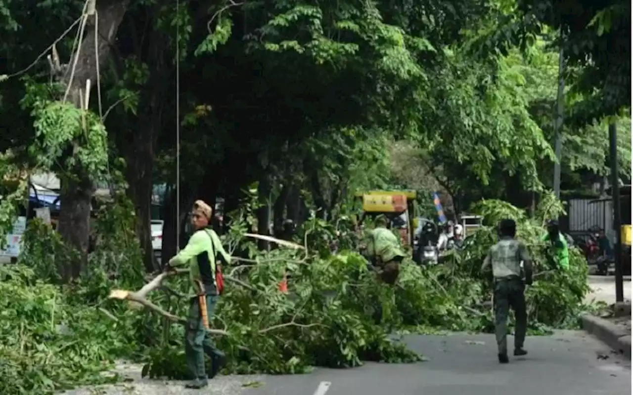 Jakarta Potensi Cuaca Ekstrem Sabtu (8/1) dan Minggu (9/1) | Jakarta Bisnis.com